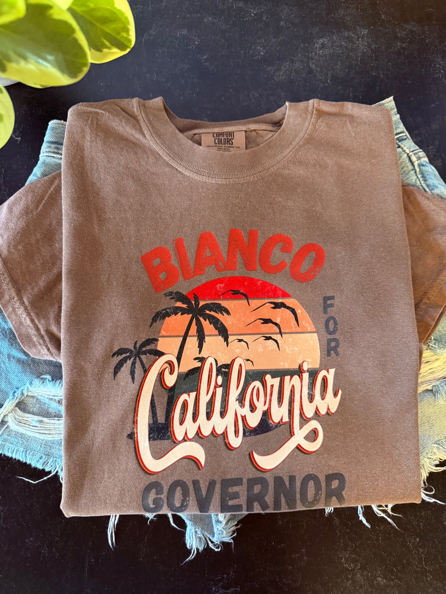 Bianco for Governor t-shirt (pre-order)