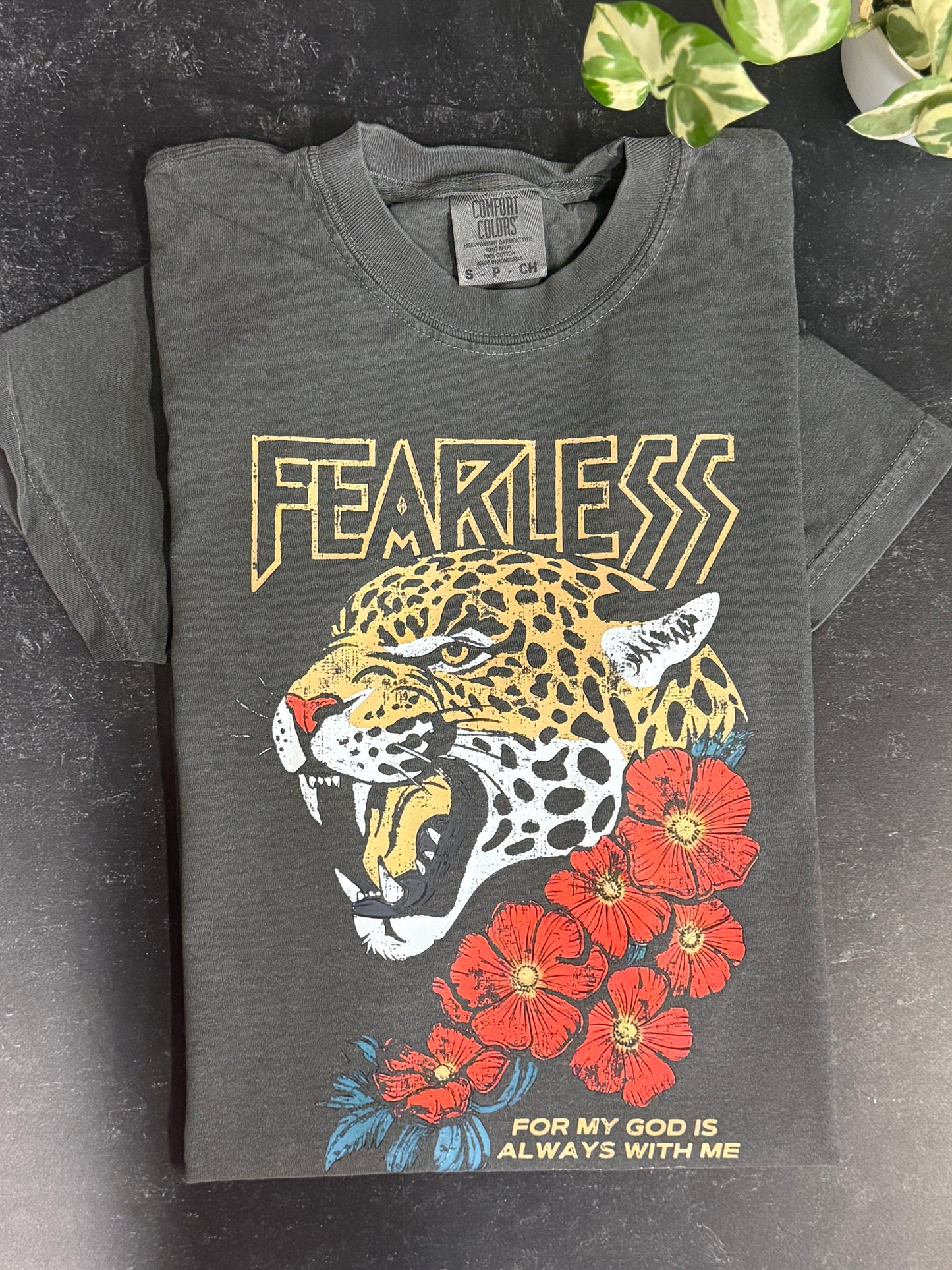 Fearless- Isaiah 41:10