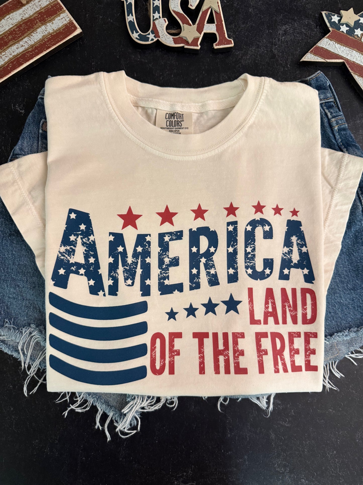 Land of the free t-shirt/pullover sweater